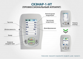 СКЭНАР-1-НТ (исполнение 01)  в Дедовске купить Медицинская техника - denasosteo.ru 