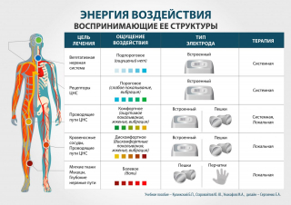 СКЭНАР-1-НТ (исполнение 01)  в Дедовске купить Медицинская техника - denasosteo.ru 