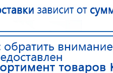 СКЭНАР-1-НТ (исполнение 01)  купить в Дедовске, Аппараты Скэнар купить в Дедовске, Медицинская техника - denasosteo.ru